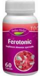 Indian Herbal Ferotonic 60 comprimate