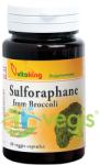 Vitaking Sulforaphane din broccoli 60 comprimate