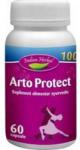 Indian Herbal Arto Protect 60 comprimate