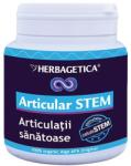 Herbagetica Articular Stem - 120 comprimate