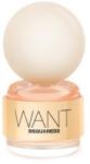 Dsquared2 Want EDP 100 ml Tester Parfum