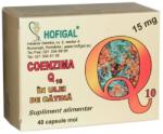 Hofigal Coenzima Q10 in ulei de catina 15 mg 40 comprimate