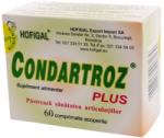 Hofigal Condartroz Plus 60 comprimate