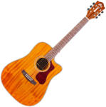 Guild D-120CE