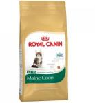 Royal Canin FBN Kitten Maine Coon 36 2 kg