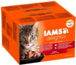Iams Delights Multipack 24x85 g