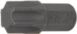 BGS technic Bit torx T60*30 mm (9-4876)