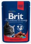 Brit Premium Cat beef 100 g