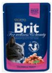 Brit Premium salmon & trout 100 g