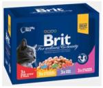 Brit Premium Family Variety 12x100 g