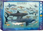 EUROGRAPHICS Sharks 1000 db-os (6000-0079)