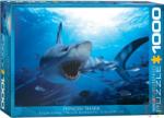 EUROGRAPHICS Hungry Shark 1000 db-os (6000-0299)