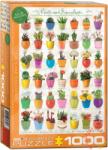 EUROGRAPHICS Cacti and Succulents 1000 db-os (6000-0654)