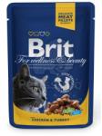 Brit Premium Cat chicken & turkey 24x100 g
