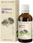 DACIA PLANT Tinctura de Anghinare 50 ml