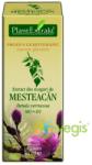 PlantExtrakt Extract din Muguri de mesteacan 50 ml