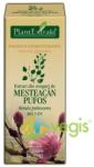 PlantExtrakt Extract din Muguri de Mesteacan pufos 50 ml