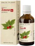 DACIA PLANT Mladite de Zmeur 50 ml