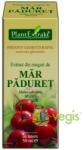 PlantExtrakt Extract din Muguri de Mar paduret 50 ml
