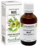PlantExtrakt Extract din Muguri de Nuc 50 ml