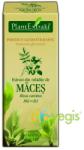 PlantExtrakt Extract din Mladite de Maces 50 ml