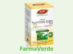 Fares Sirop Plantusin Forte cu miere si propolis 100 ml