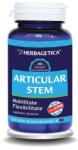 Herbagetica Articular Stem 30 buc