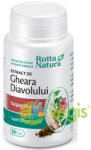 Rotta Natura Gheara Diavolului 30 comprimate