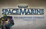 THQ Warhammer 40,000 Space Marine Salamanders Veteran Armour Set DLC (PC)