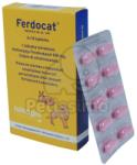 Ferdocat tabletta A. U. V. 100 tabletta - petissimo