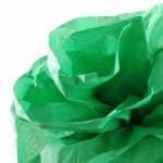 CANSON Hartie de matase CANSON 0, 5X5m, 18 g/mp, VERT FRANC (VERDE PUR) (992666)