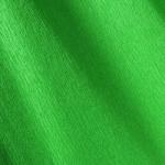 CANSON Hartie creponata CANSON superioara 0, 5x2, 5m, 48g/mp, Vert franc (Verde pur) (2416)