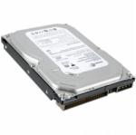 Seagate 160GB 2MB 7200rpm ATA100 (ST3160215ACE)