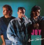 JOY - And Tears LP (And Tears )