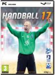 Bigben Interactive Handball 17 (PC) Jocuri PC