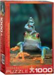 EUROGRAPHICS Red Eyed Tree Frog 1000 db-os (6000-3004)