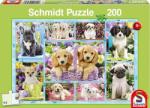 Schmidt Spiele Puppies 200 db-os (56162)
