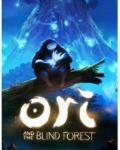 Nordic Games Ori and the Blind Forest (PC) Jocuri PC