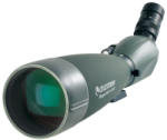 Celestron Regal M2 100 ED