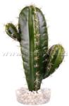 Sydeco Cactus műnövény 19 cm (SYD49675)