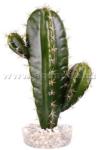 Sydeco Cactus műnövény 19 cm