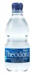 Theodora természetes dús ásványvíz 0, 33l pet palackban (visszaváltható, Betéti díjas +50. -Ft )