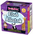 Green Board Game BrainBox - Első állatok