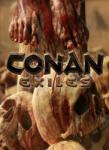 Funcom Conan Exiles (PC) Jocuri PC