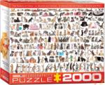EUROGRAPHICS The World of Cats 2000 db-os (8220-0580)
