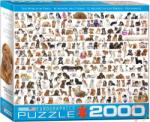 EUROGRAPHICS The World of Dogs 2000 db-os (8220-0581)