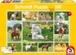 Schmidt Spiele Baby Farm Animals 100 db-os (56194)