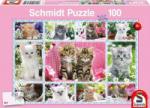 Schmidt Spiele Kittens 100 db-os (56135)