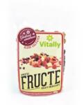 Vitally Amestec de Fructe Uscate Energizante 100gr Vitally