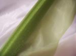  Világos mohazöld organza dekorációs anyag - 47 cm széles, 10 méter hosszú-048